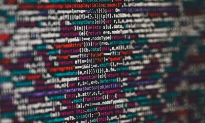 Wood for Trees publish whitepaper to help charities unlock value in data