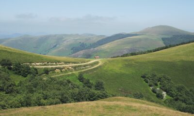 Wood for Trees takes on the Camino de Santiago