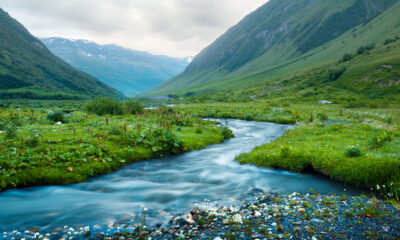 Avalon Waterways: A fresh approach to press planning