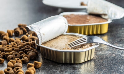 James Wellbeloved: A data lead approach to letterbox media