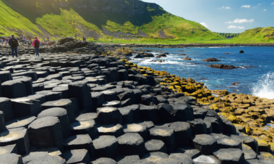 Wood for Trees raises over £1,000 for Concern Worldwide’s Ukraine Crisis Appeal