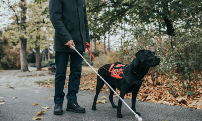 Guide Dogs for the Blind