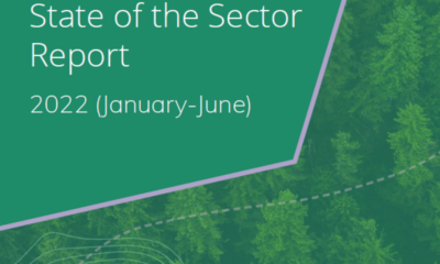 Wood for Trees releases State of the Sector Report January-June 2022