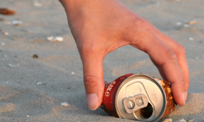 A month of volunteering and fundraising at Wood for Trees