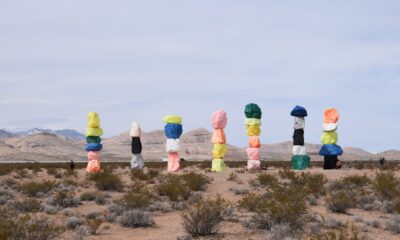 Fundraising advice for charities – Thanks a ‘Lotte’