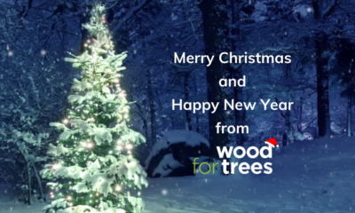 2022 highlights from Wood for Trees