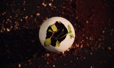 Edit’s and Join the Dots’ impact: One year of B Corp status