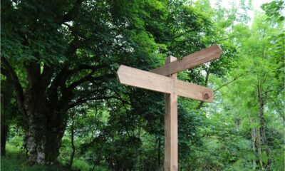 5 risks of not having a data strategy for your charity