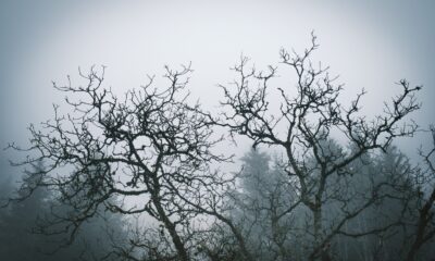 Hallo’weening’ you onto data terms