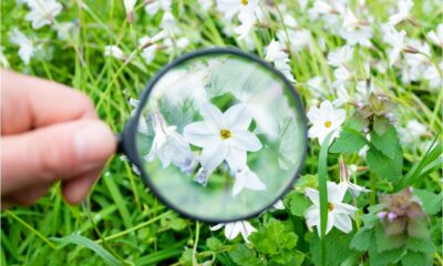 How to make more informed decisions with charity data analysis