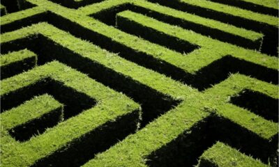 4 reasons to make 2024 the year you take control of your charity data