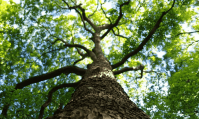 7 ways to really get to know your supporters (and improve fundraising ROI)