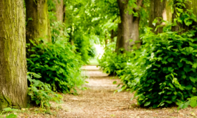 State of the sector annual report 2024