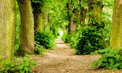 State of the charity sector – our views 