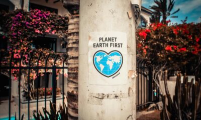 Print media vs digital media: Insights on sustainability, reading, marketing and the digital divide