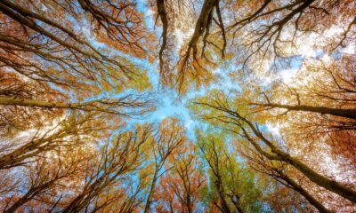 State of the sector 6-month report 2024