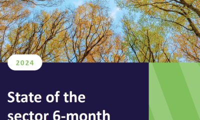 UK charity performance in the first half of 2024