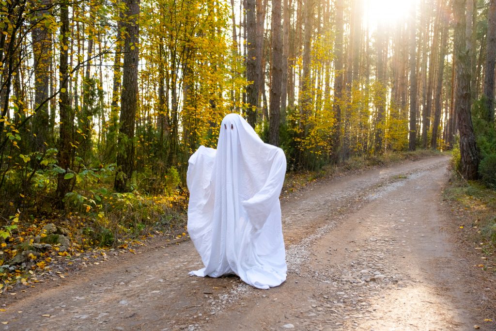 A person running through the woods in a sheet like a ghost