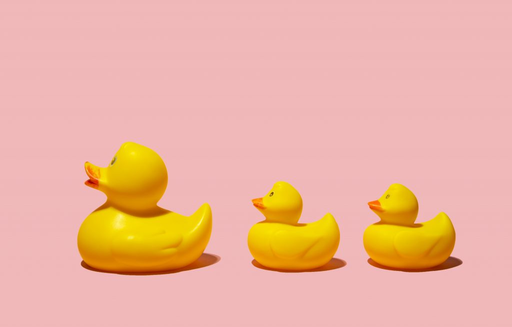 Three rubber ducks in a row