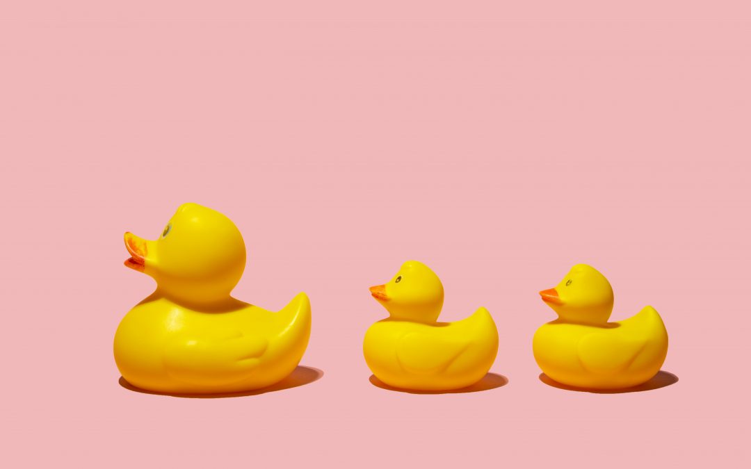 Ready to dive into AI? Get your ducks in a row first  