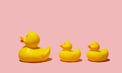 Ready to dive into AI? Get your ducks in a row first  