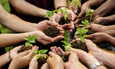 Sustainability print FAQs