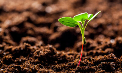 Sustainability checklist for print