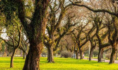 State of the sector annual report 2025