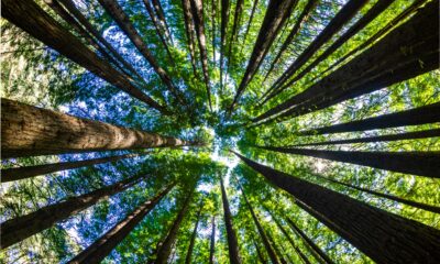 Charity and not-for-profit trends – state of the sector 2025 