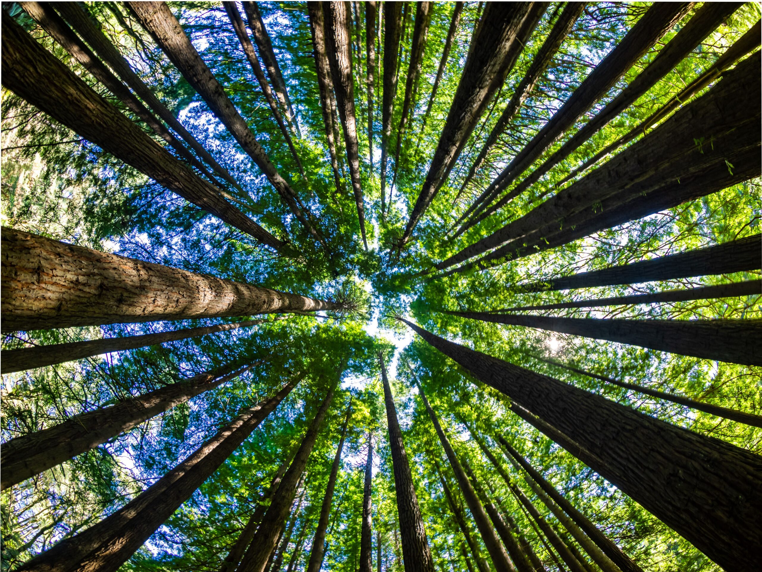 Charity and not-for-profit trends – state of the sector 2025 | Wood for ...