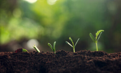 From insight to income: A practical data strategy guide for charities