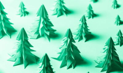 Still the most wonderful time of year? Why charities might be missing out by focusing on Christmas campaigns